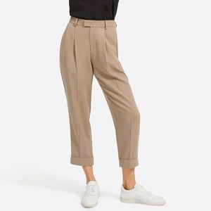 NWOT Everlane Pleated Pant in Tan